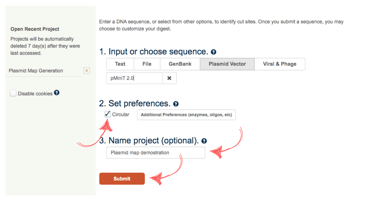 Plasmid restriction map tutorial 3