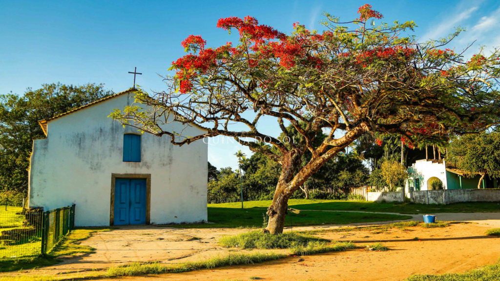 Patrimônios Culturais do Nordeste Brasileiro Que Você Precisa Conhecer