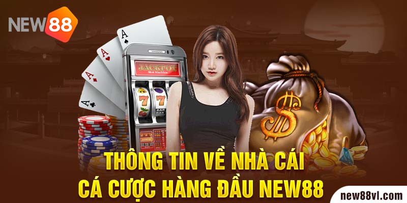 Thông tin về nhà cái cá cược hàng đầu NEW88