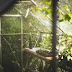 Grow Your Business: Top 9 Hacks for Choosing the Right Greenhouse