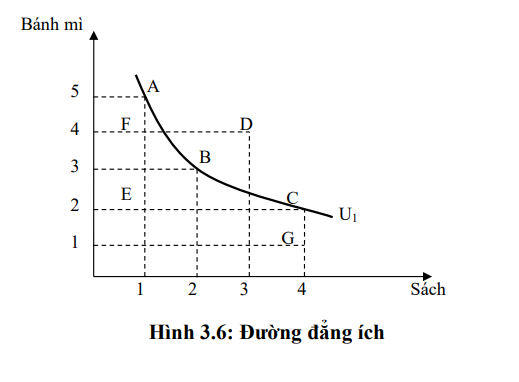 Đường Dẫn Truyền Cảm Giác: Hiểu Rõ Cấu Trúc và Chức Năng