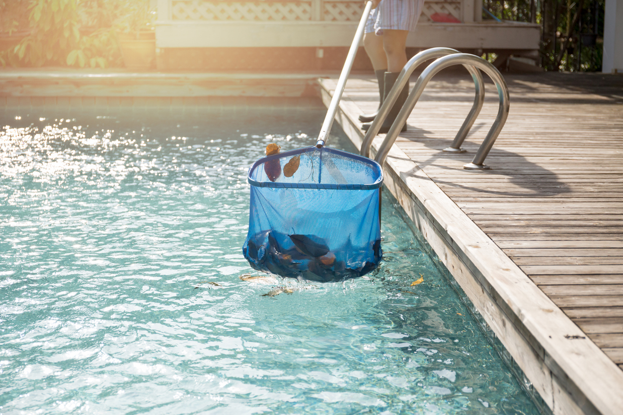 Pool owner cleaning fallen leaves out of the pool with a net. 