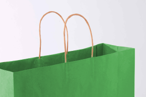 Green paper bag with grey back round 