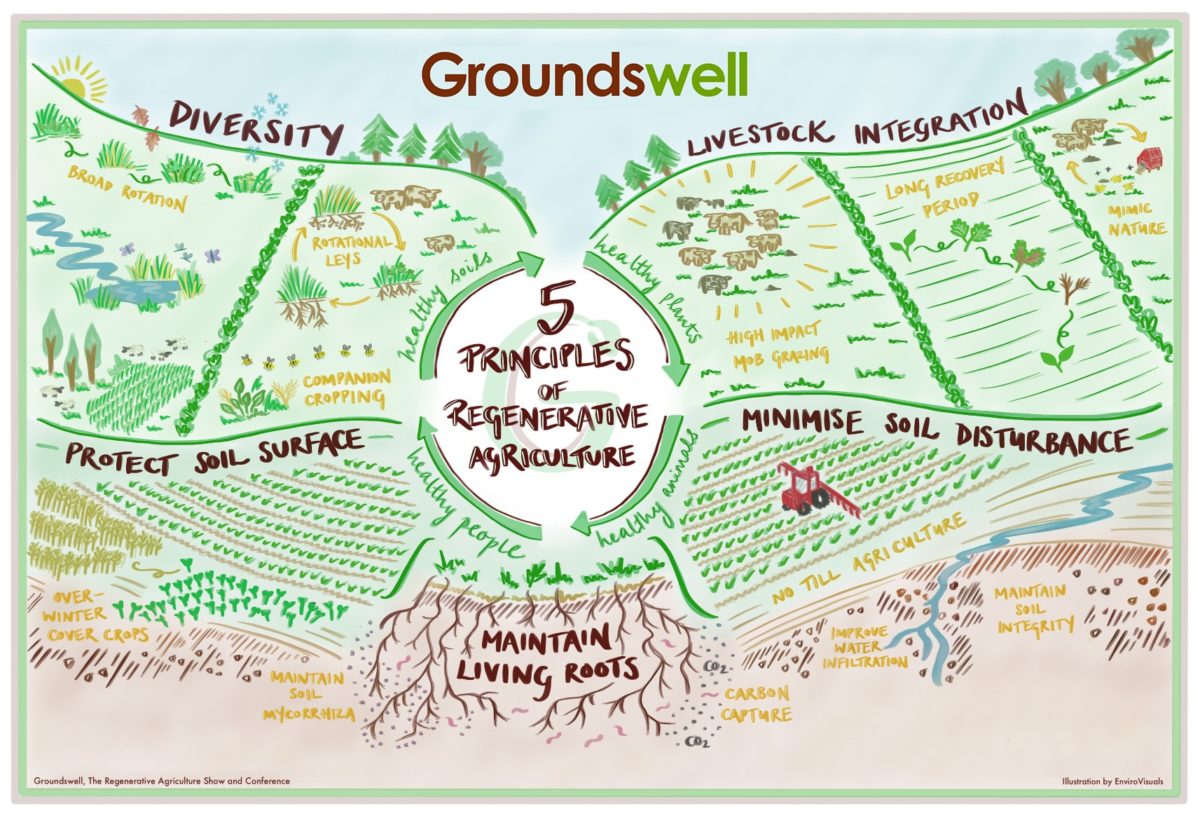 “5 Principles of Regenerative Agriculture”. Credit: Groundswell