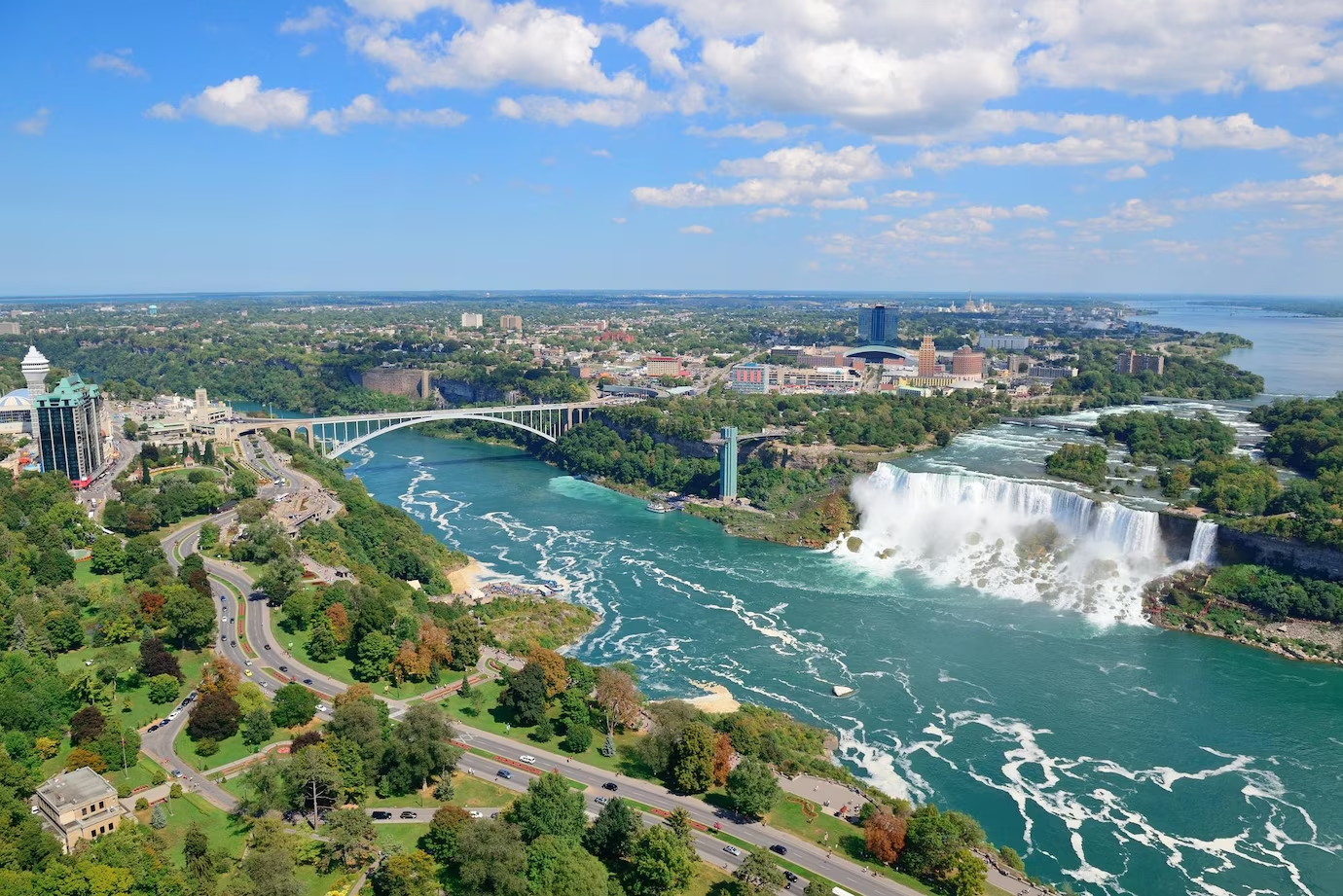 Cascate del Niagara - flora