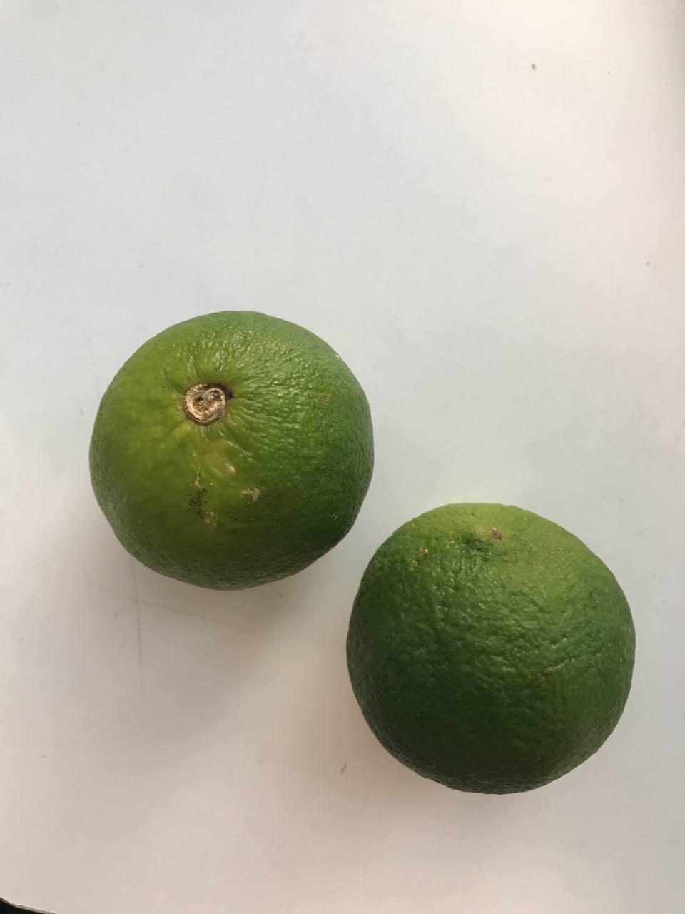 Two limes on a white surface

Description automatically generated