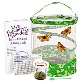 butterfly-kit.jpg