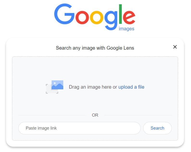 reverse image search