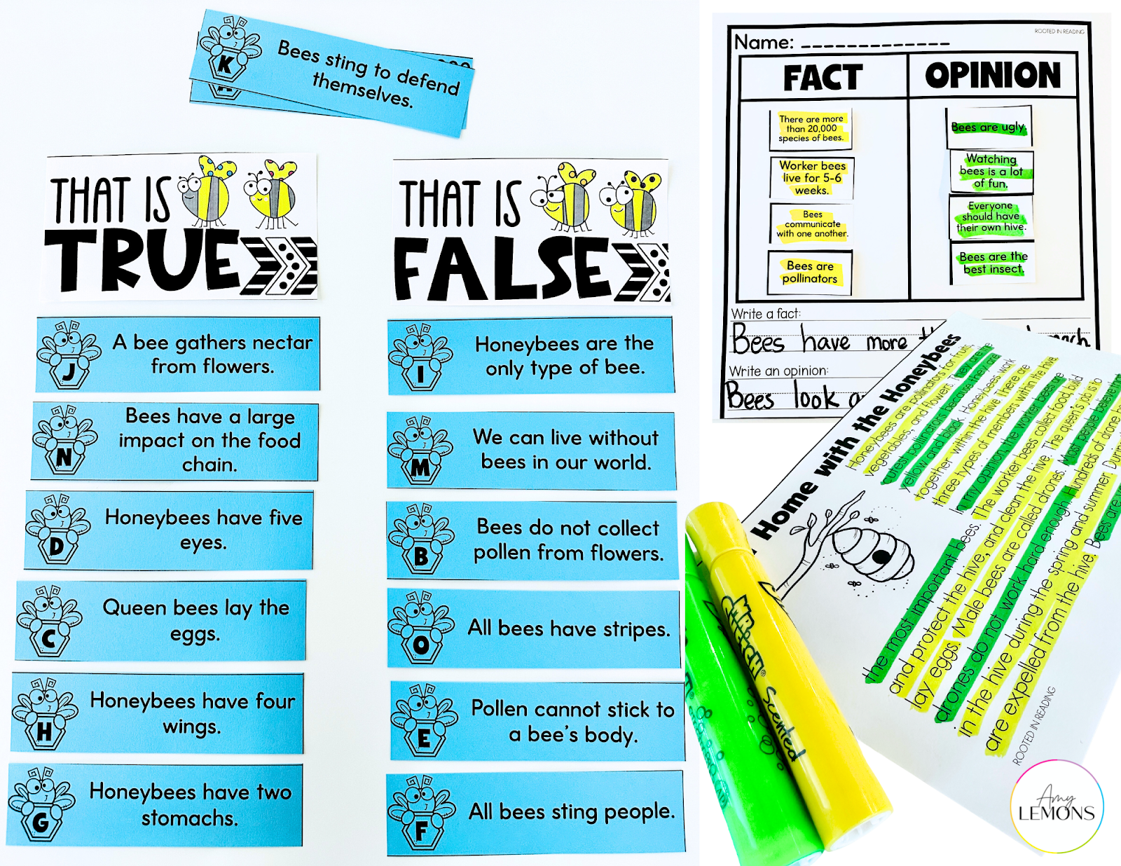 Animal research activities featuring true vs. false or fact vs. opinion 