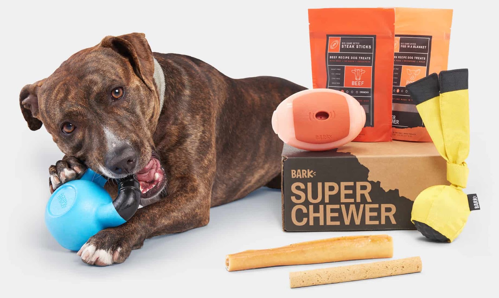 Super Chewer Subscription Box: An extension of BarkBox, offering durability for power chewers