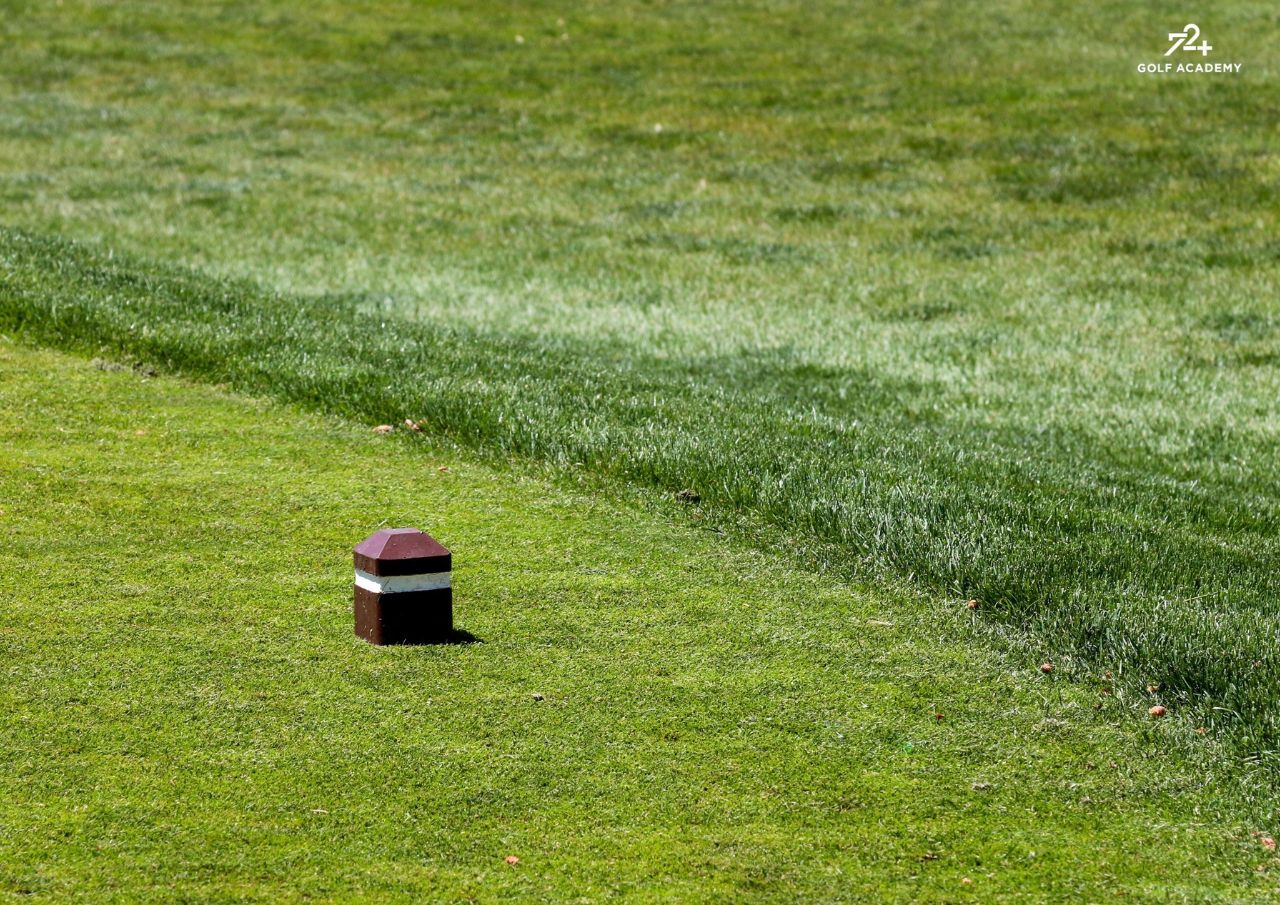 Màu sắc của tee box