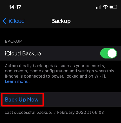 iPhone iCloud backup panel