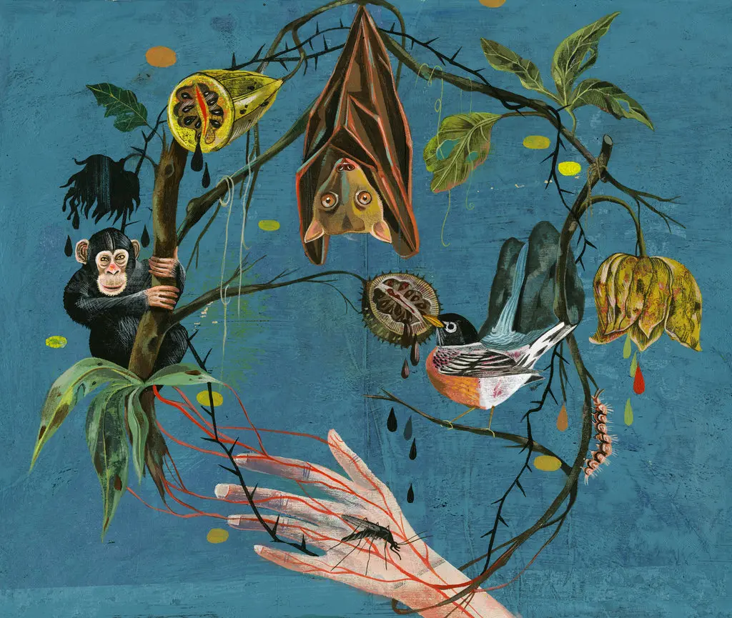 Illustration of biodiversity with a bat, monkey, bird, and plants, highlighting the connection between animals, ecosystems, and disease transmission.