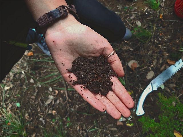 3 Easy Ways to Test Soil