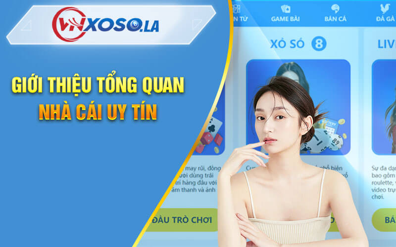 Tổng Quan Về Sân Chơi Cá Cược Hàng Đầu VNXOSO