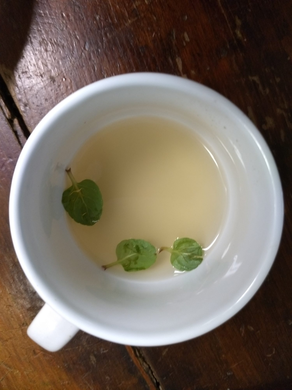 A cup of liquid with leaves in it  Description automatically generated