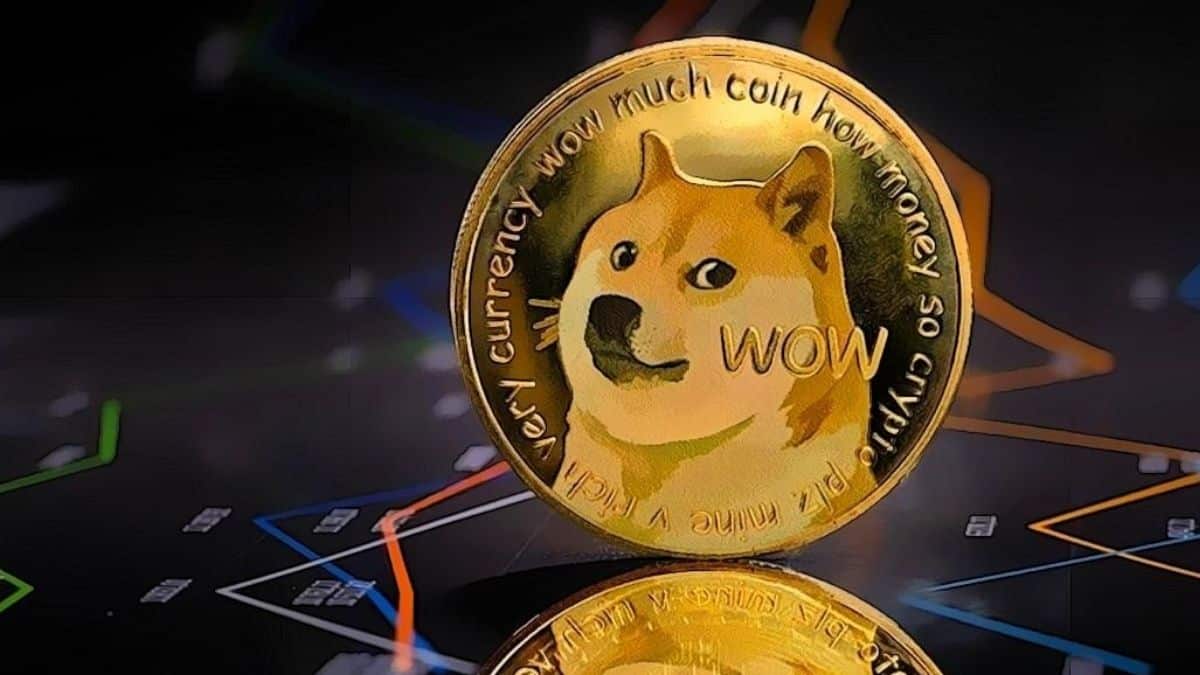 Dogecoin Crypto View