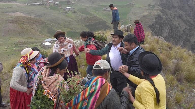 Comunidades de la Cordillera del Tunari en Bolivia en proceso de reforestación. Foto: Faunagua.