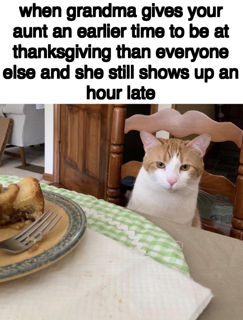 “When grandma gives your aunt an earlier time to be at thanksgiving  than everyone else and she still shows up an hour late”

Picture of a cat sitting in a chair looking cooly at the leftovers on a plate in front of them.