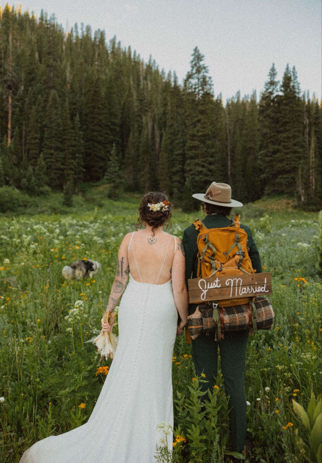 elopement couple in a field of flowers with dog