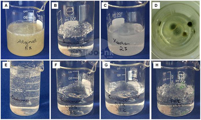 Tìm hiểu các tính chất của Xanthan Gum và yếu tố ảnh hưởng đến tạo gel
