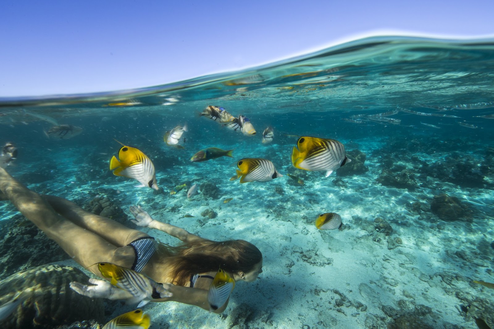 A lady exploring Cook Islands' vibrant underworld and breathtaking coral reefs.