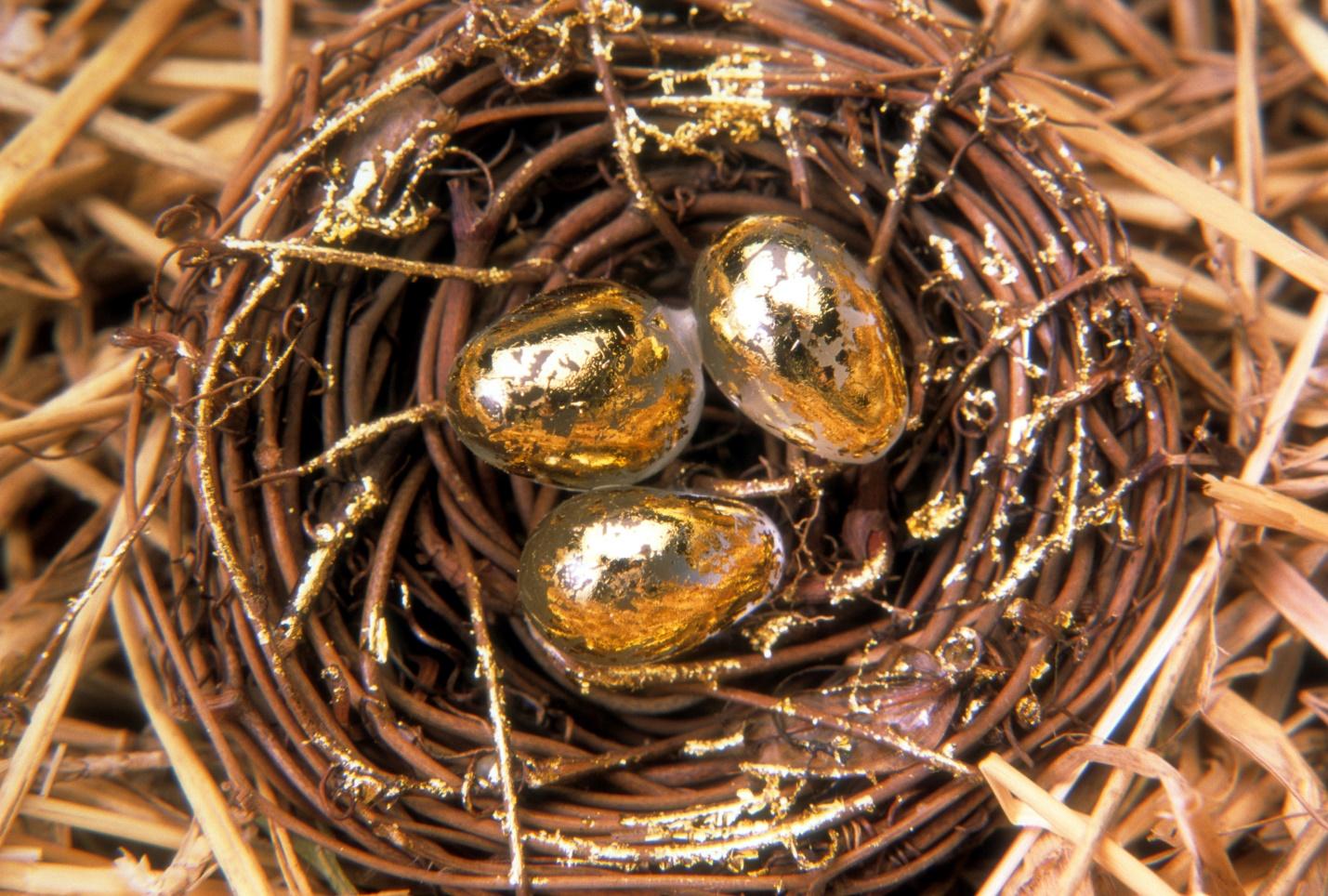 A nest with gold eggs

Description automatically generated