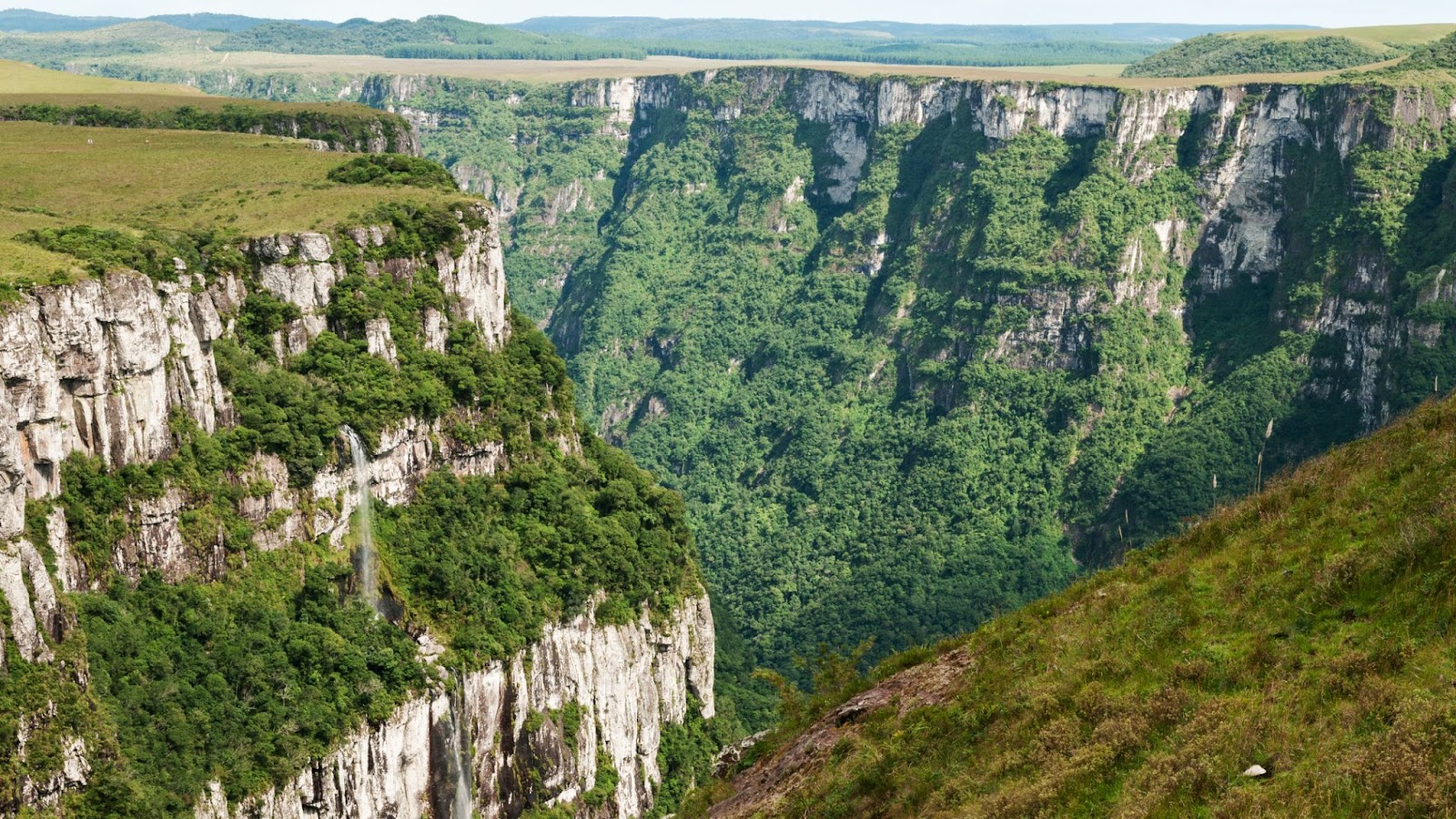Cânion Fortaleza, no Parque Nacional da Serra Geral. Ele é formado por chapadões de rocha branca coloridos pelo verde da vegetação nativa