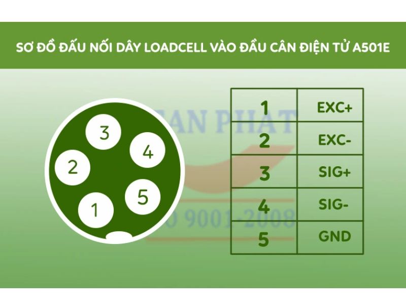 Sơ đồ đấu nối loadcell với đầu cân A501E