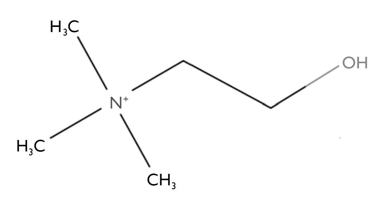 choline structure