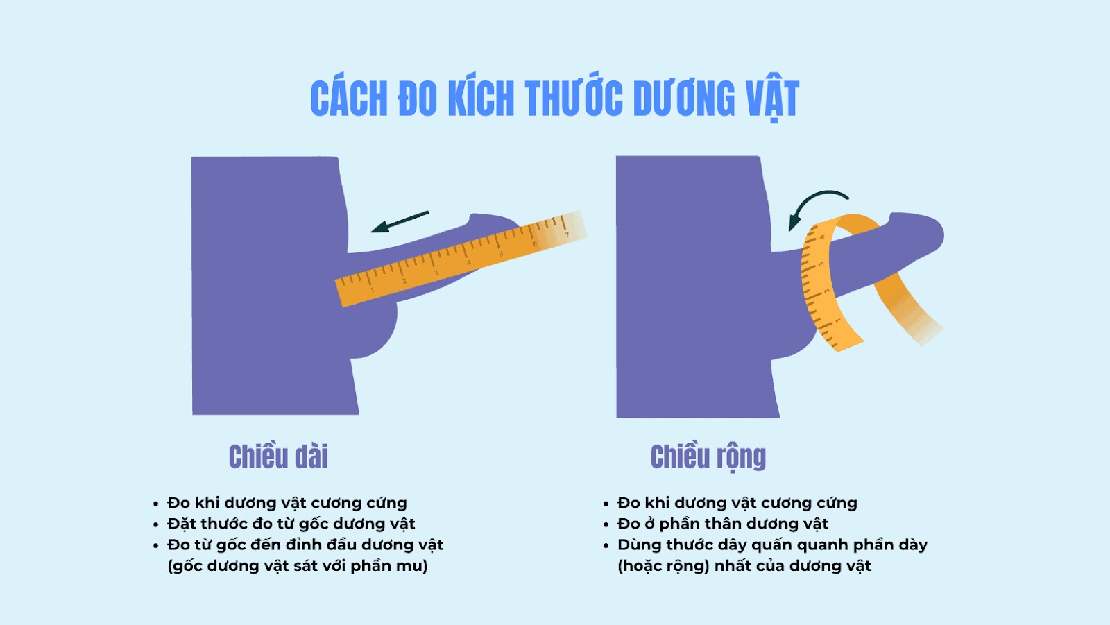 Hướng dẫn cách đo kích thước dương vật (chiều dài, chiều rộng)