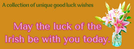 good luck wishes for each:  Good luck wishes to my love  good luck wishes for success  good luck wishes for exams  good luck wishes for future  good luck wishes for future career  Good luck wishes for students  Good luck wishes for business  how to wish someone good luck professionally  5 Good Luck Wishes for Every Occasion