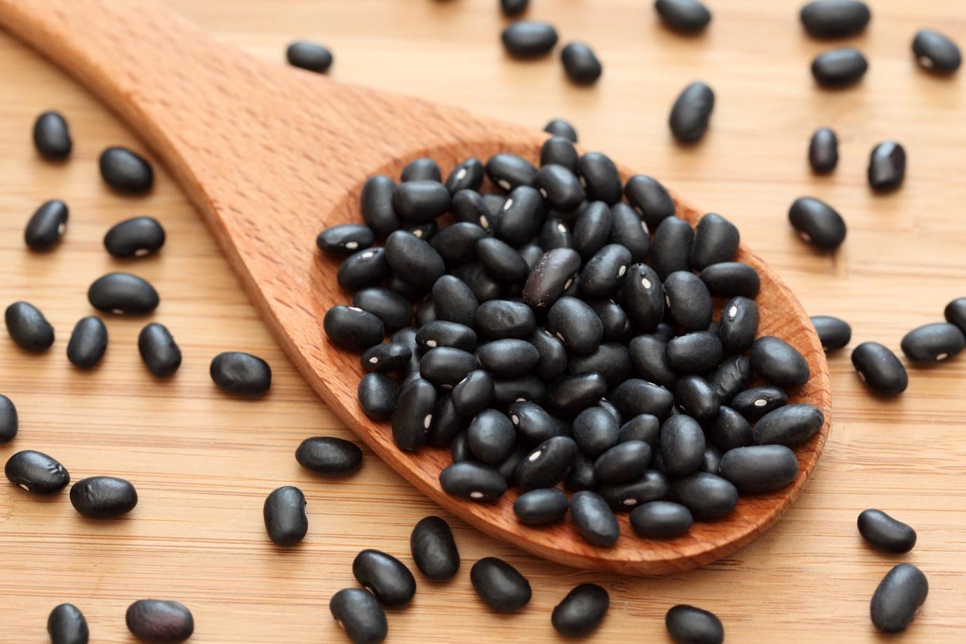 A wooden spoon with black beans on itDescription automatically generated