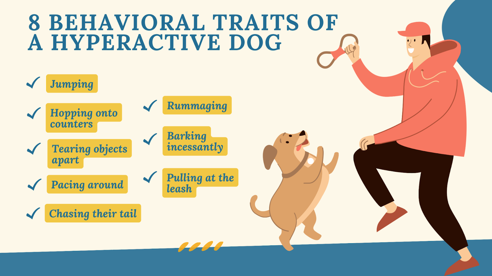 Behavioral traits of a hyperactive dog
