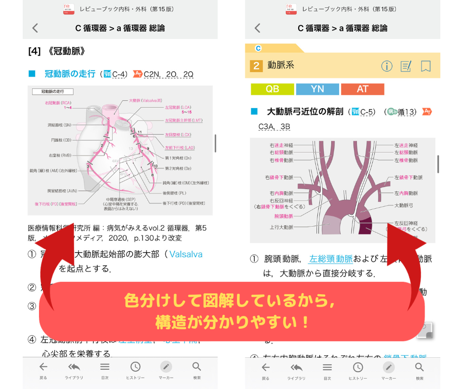 レビューブック』アプリで叶う，実習～国試対策のスマートな学習 