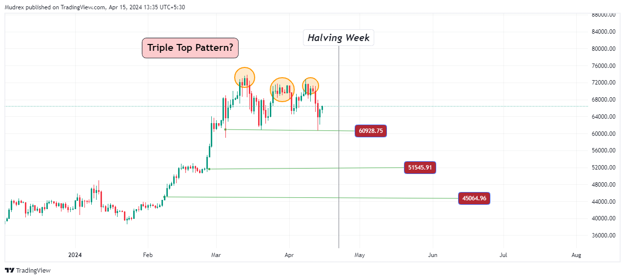 Decoding The Bitcoin Halving: Price Action and Market Sentiments