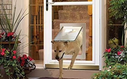 Doggie Door For Screen Door