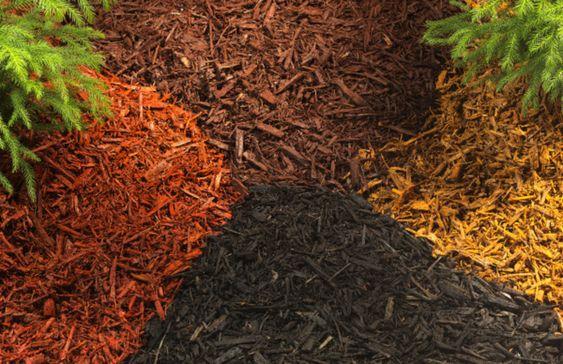 Do Proper Mulching 