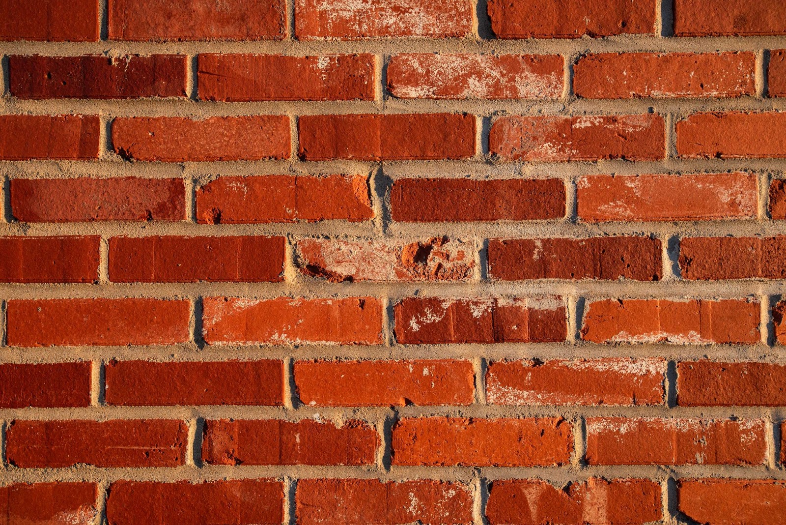 photo of a brick wall