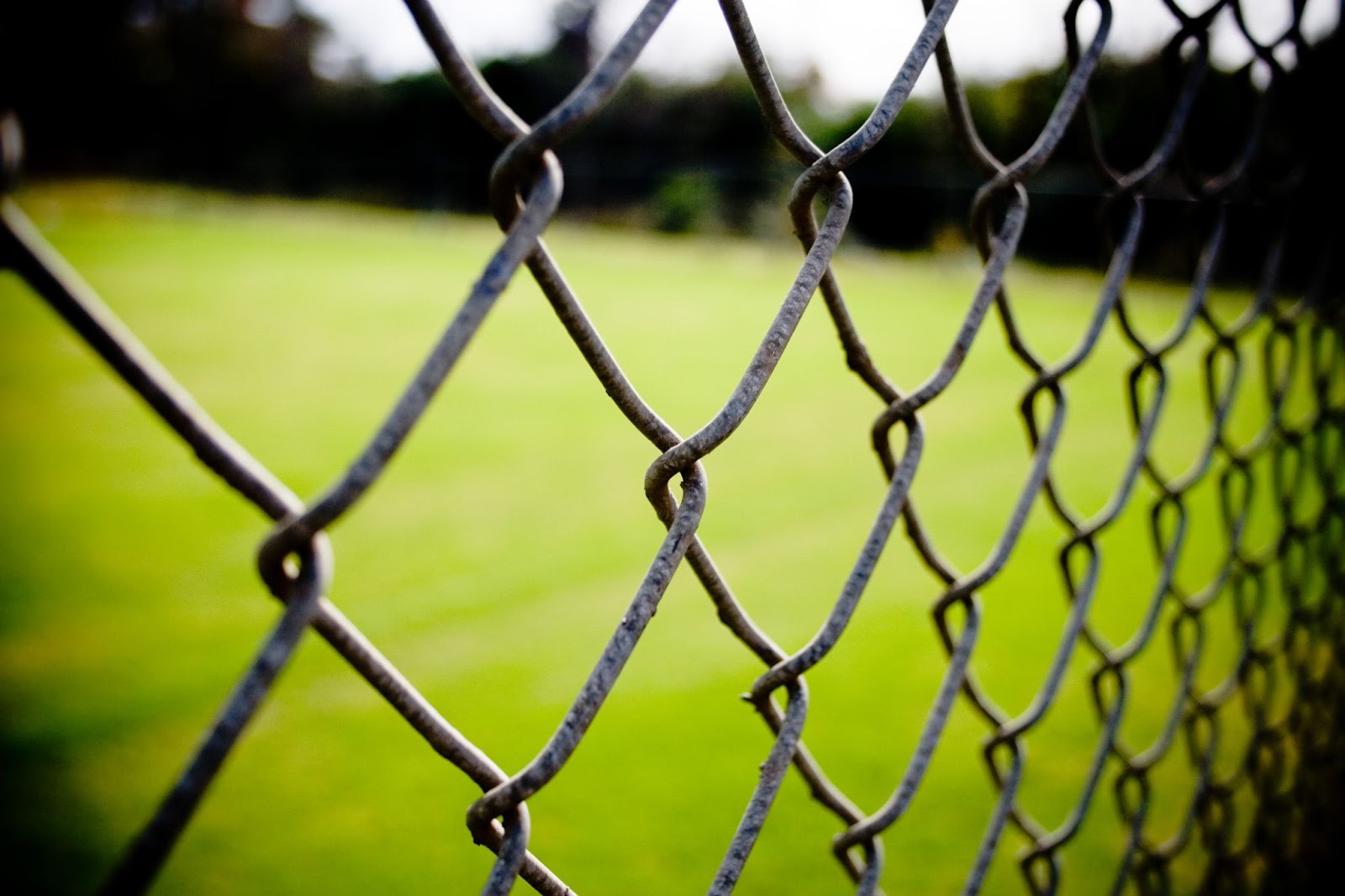 Privacy Fence Financing and Chain Link Fence Loans