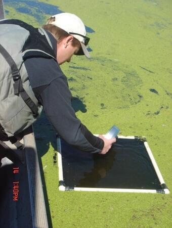 Image: Collecting Water Nutrient Data