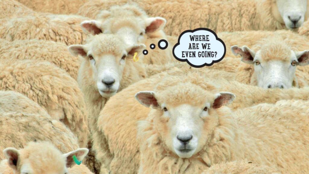 Be the questioning sheep to avoid herd mentality in stock market