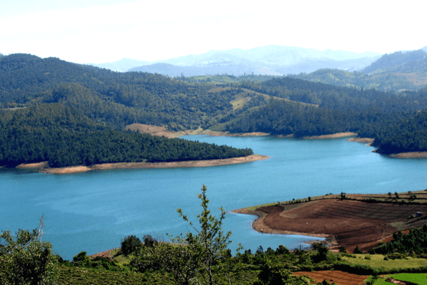 Ooty Tourist Places - 18 Places to Visit in Ooty | Thomas Cook