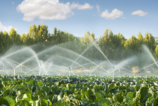 Image of a sprinkler irrigation system.
