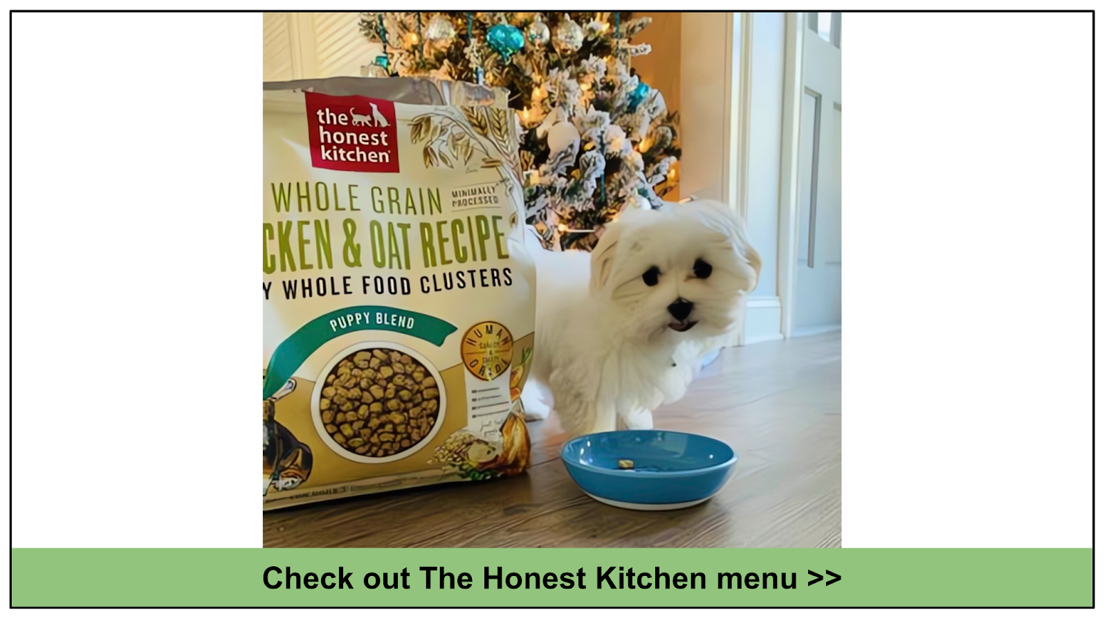 6 Best Dry Food For Puppies 2024: Nothing But The Best