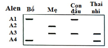 https://lh7-us.googleusercontent.com/5ouzuUYYP--fpWq53JQ-r-dH2YFTVFLLWtqirPqve3AKuBXudyu6X7QADNp7wKKhcQh7aI_huLnslH9-dSyODnGjF5_P0MS5uz_vHvDcDpG_7XbWXrwLE_ivkBp1x-qKv0SQeTIaOiWrSLA=s800