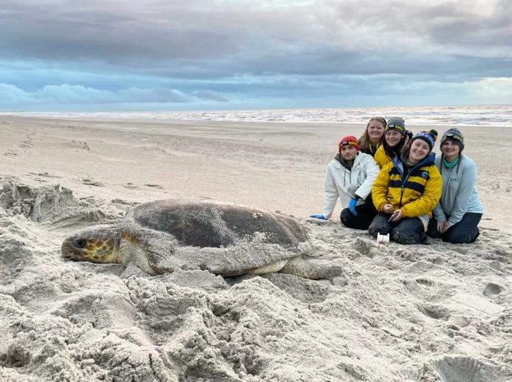 A group of people posing for a photo with a turtle on the beach

Description automatically generated