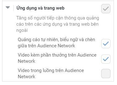 facebook audience network ad format 2