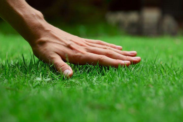 5 Tips for Successful Sod Installation