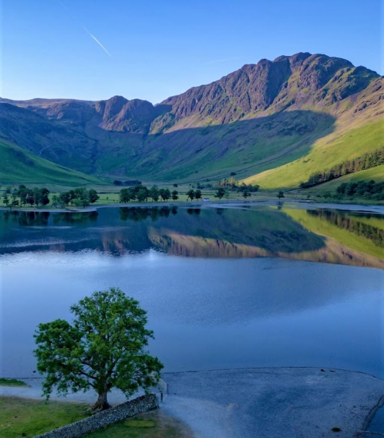 A lake with a tree and mountains in the background

Description automatically generated